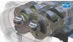 משאבות RLP ובורג כפול למזון ופרצבטיקה